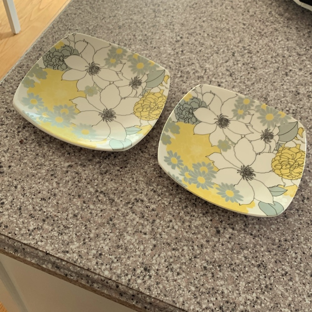 222 Fifth set of 2 fine China ‘Melbourne’ 8 inch plates. D/W & microwave safe.